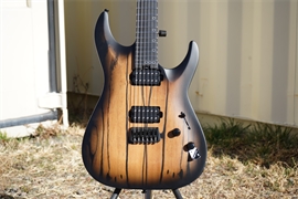 Schecter DIAMOND SERIES C-1 Pale Moon Natural Satin with Black Burst  6-String Electric Guitar 2026