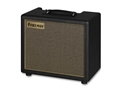 FRIEDMAN RUNT-20 Combo 2 Channel -20w  Tube Combo  