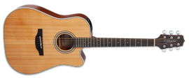 Takamine GD20CE  Natural 6-String Acoustic Electric Guitar