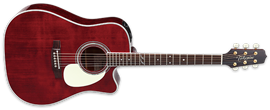 Takamine Signature JJ325SRC John Jorgenson 6-String Acoustic Electric Guitar 2023