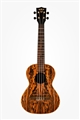 KALA KA BFT Bocote Butterfly Tenor    Ukulele