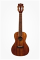 KALA  KA-KCG Koa Concert Ukulele 