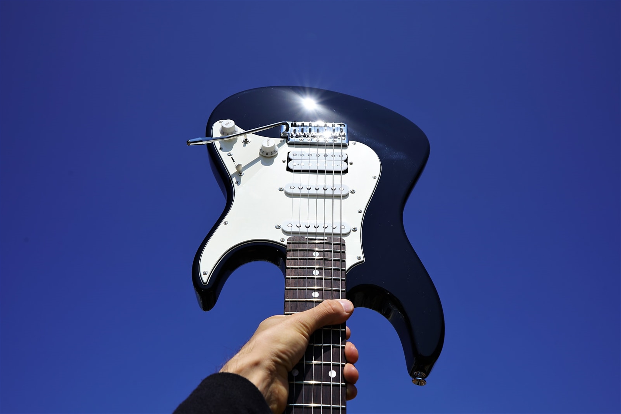 ESP Original Custom Shop Snapper-7 AL/R Black 7-String Electric Guitar
