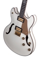 Schecter    DIAMOND SERIES  Wayne Hussey Corsair-12 Ivory finish   12-String Electric Guitar  