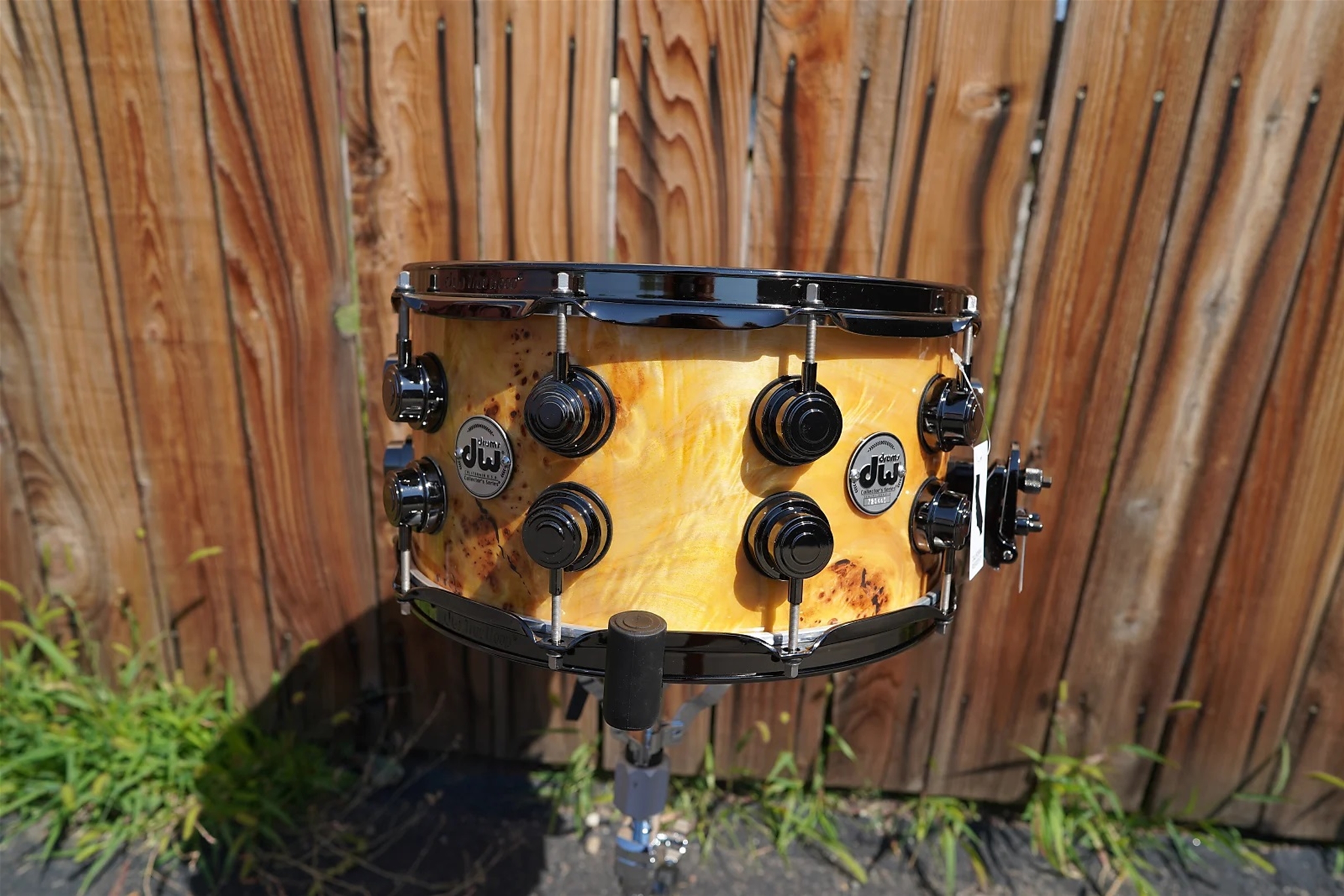 DW USA Collectors Exotic Series - Amber Stain Washout - 7 x 14" Maple/Mapa Burl Snare Drum 