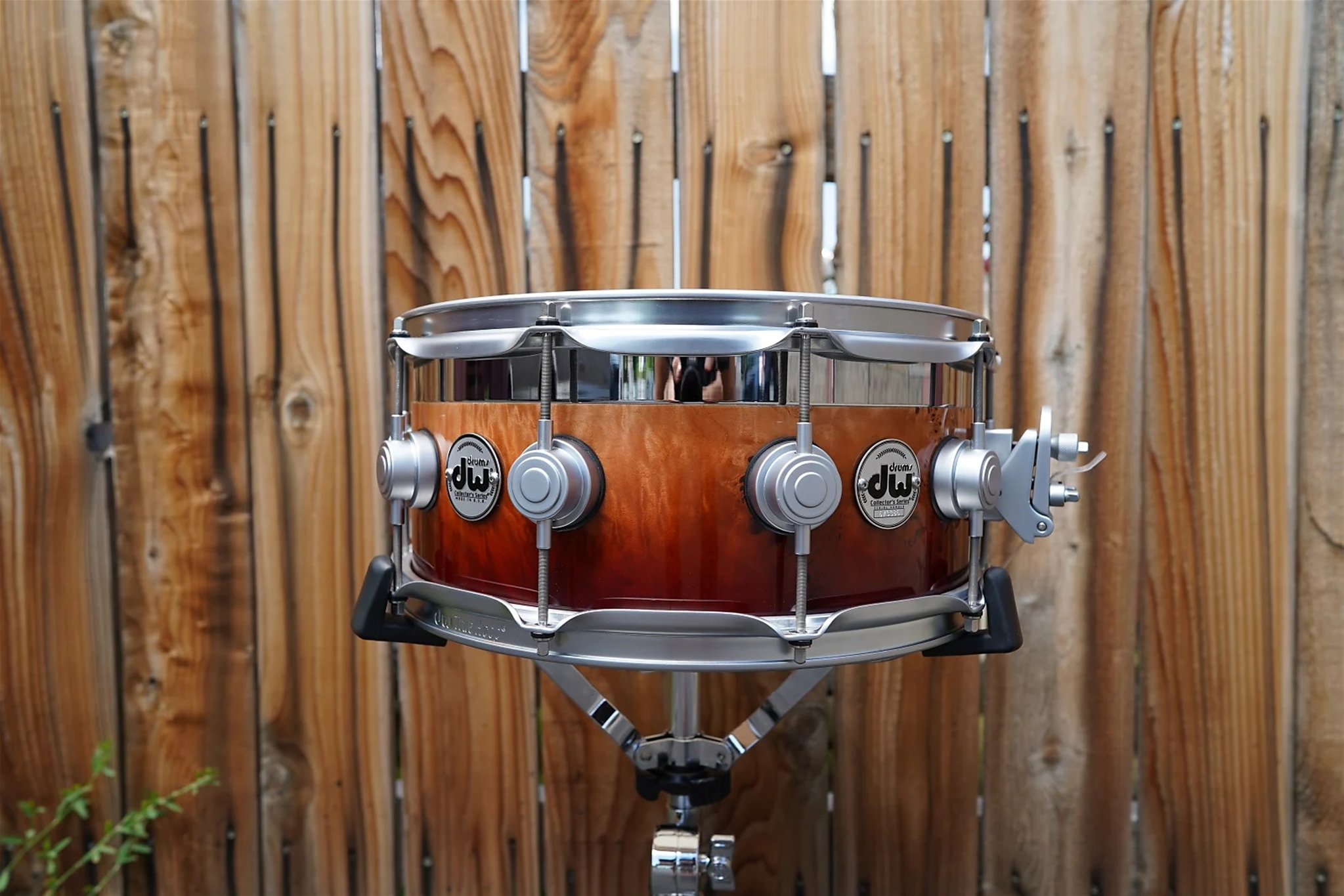 USED - DW USA Collectors Series - Top Edge Exotic - Natural Tobacco Fade - Exotic Mapa Burl - 6.5 x 14" Snare Drum 