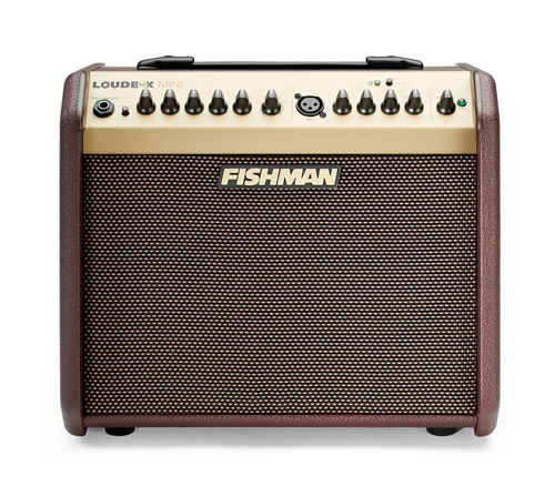 FISHMAN Loudbox Mini PRO-LBT-500  Acoustic Combo Amplifier