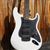 G&L USA CUSTOM SHOP Alternative Reality Legacy HSS Alpine White Satin Frost 6-String  Electric Guitar