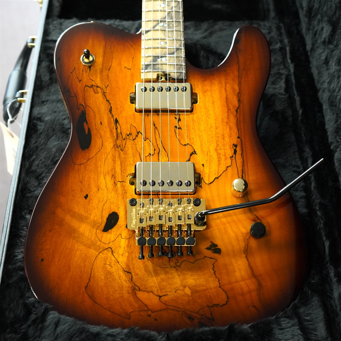 DEAN USA Custom Shop Nash Vegas Floyd Spalted Maple Top   6-String Electric Guitar 