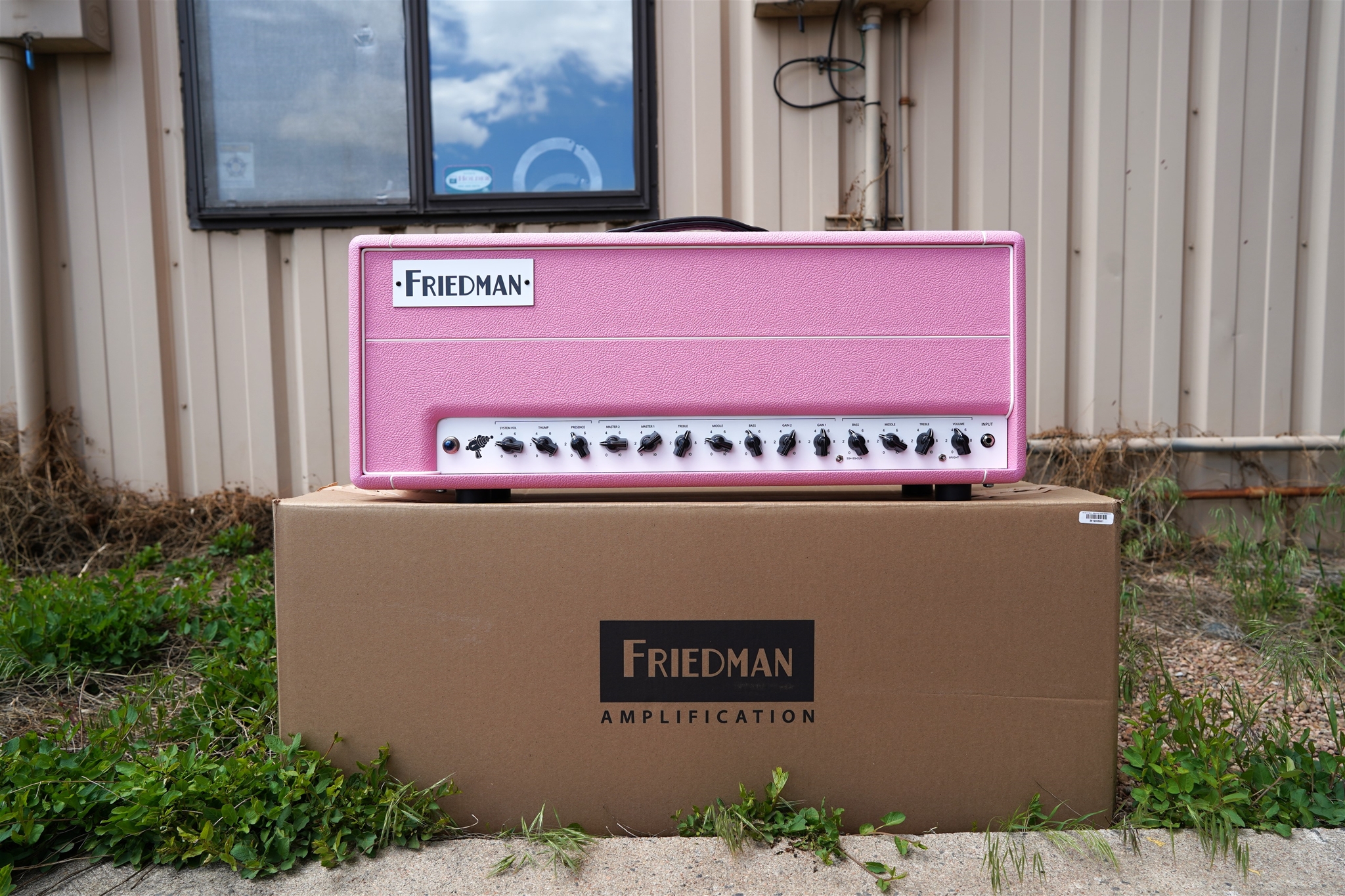 FRIEDMAN SS-100V2 Head  Steve Stevens Pink Tolex   100-Watt Tube Head