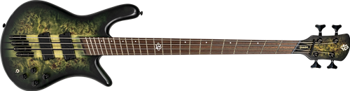 Spector NS Dimension   4  Multi Scale- Haunted Moss Matte 4-String Bass Guitar 