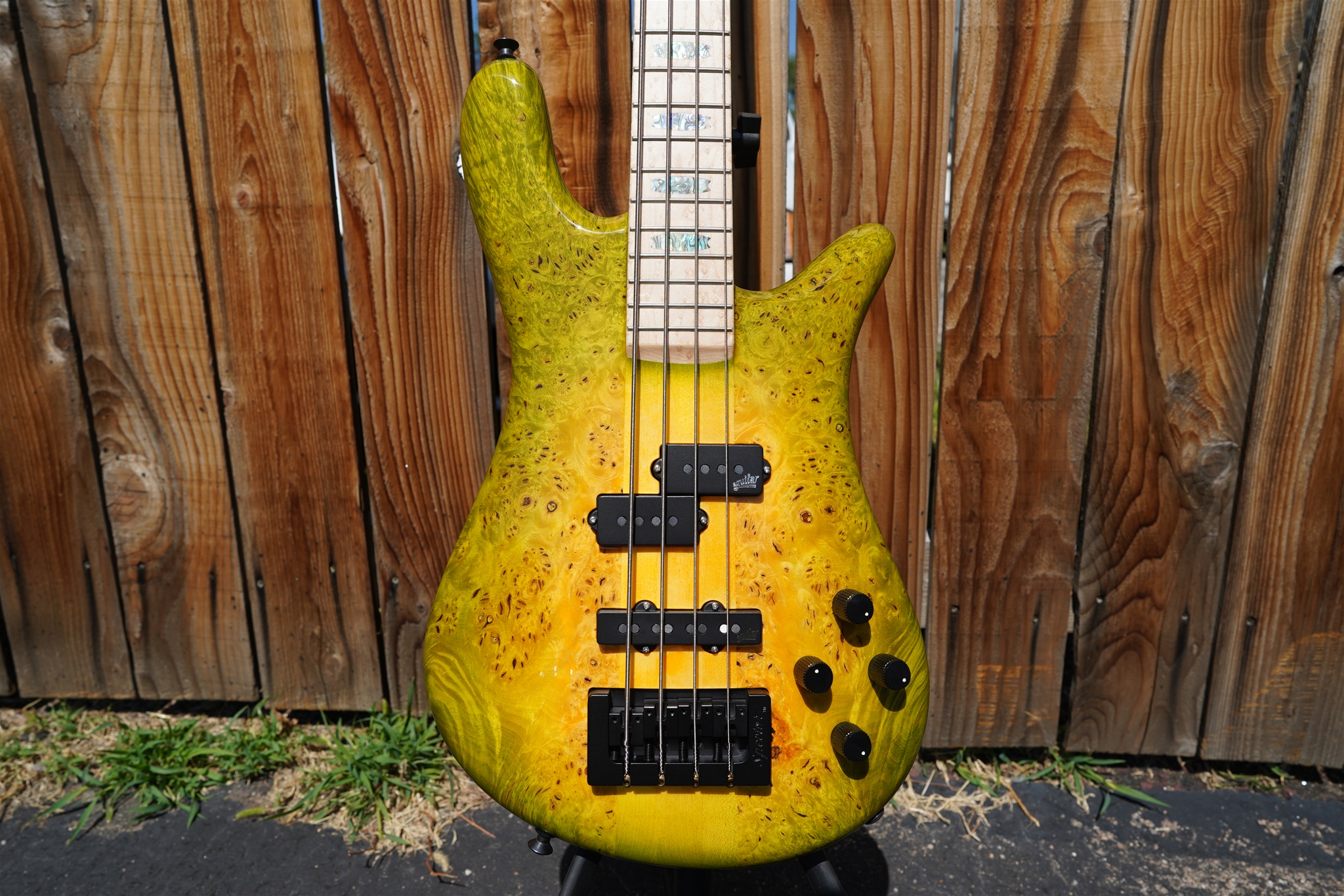 Spector USA NS-2 Maple Burl Super Bloom   4-String Electric Bass Guitar 2023