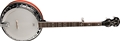 Washburn Americana B16K Flame Maple Resonator 5-String Banjo 