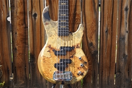 G&L USA Custom Shop Matador-V Buckeye Burl on Black Limba  5-String Electric Bass Guitar 2025