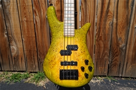 Spector USA NS-2 Maple Burl Super Bloom   4-String Electric Bass Guitar 2023