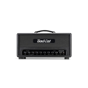 Bad Cat JET BLACK  HEAD  38-Watt Tube Head 2024 