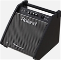  Roland PM-100 80-watt 1x10" Personal Drum Monitor