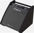 Roland PM-200 180-watt 1x12" Personal Drum Monitor