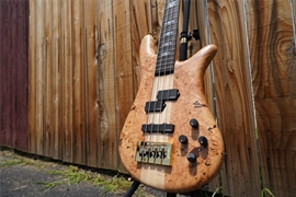 Spector USA NS-2 Maple Burl Matte finish  4-String Electric Bass Guitar 2023