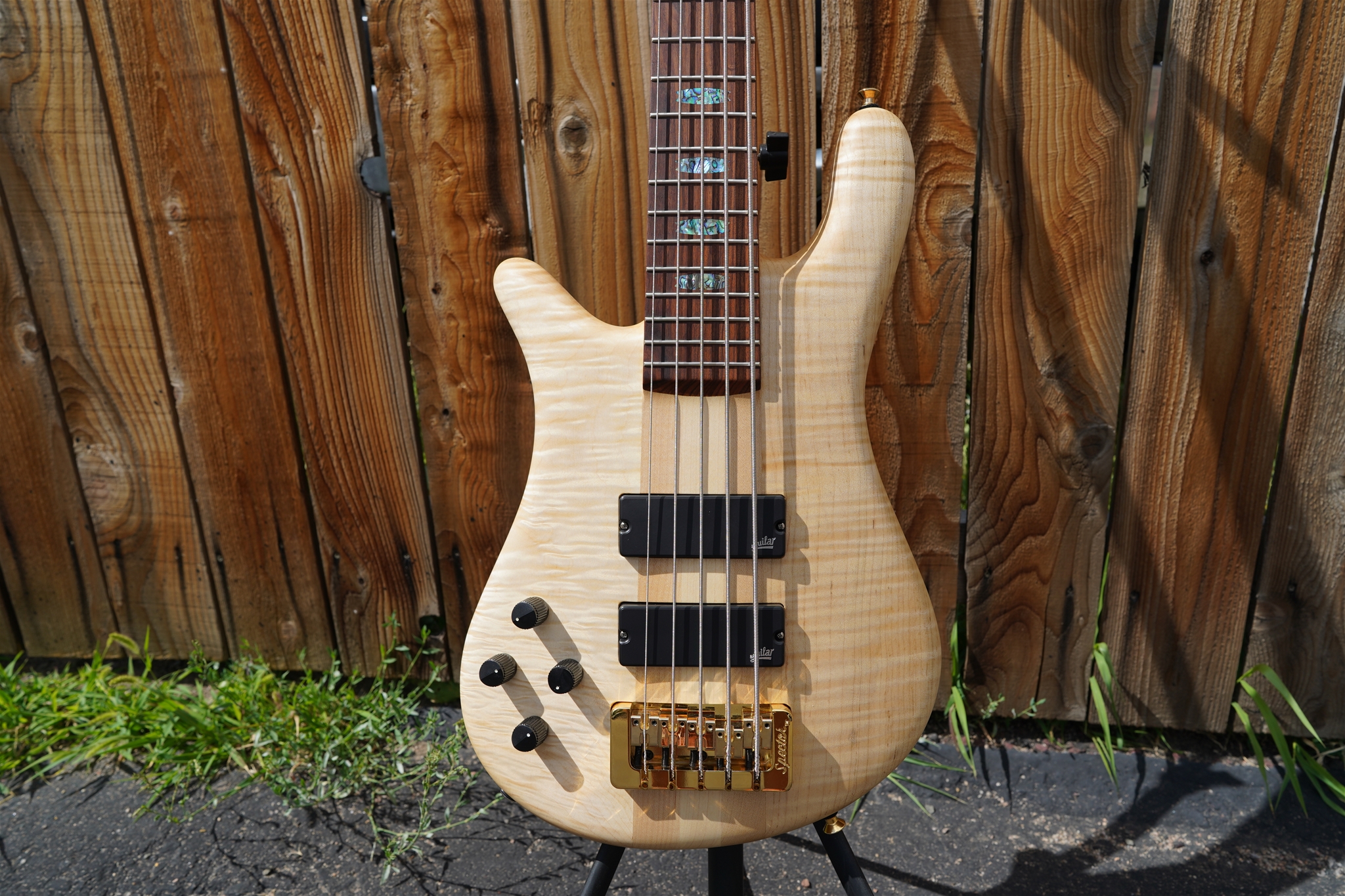 Spector USA NS-5XL  Curly/Flame Solid Wings/Oil finish  Left Handed  5-String Electric Bass Guitar 2023