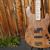 Spector USA Coda 4P DLX Clairo Walnut 4-String Bass Guitar