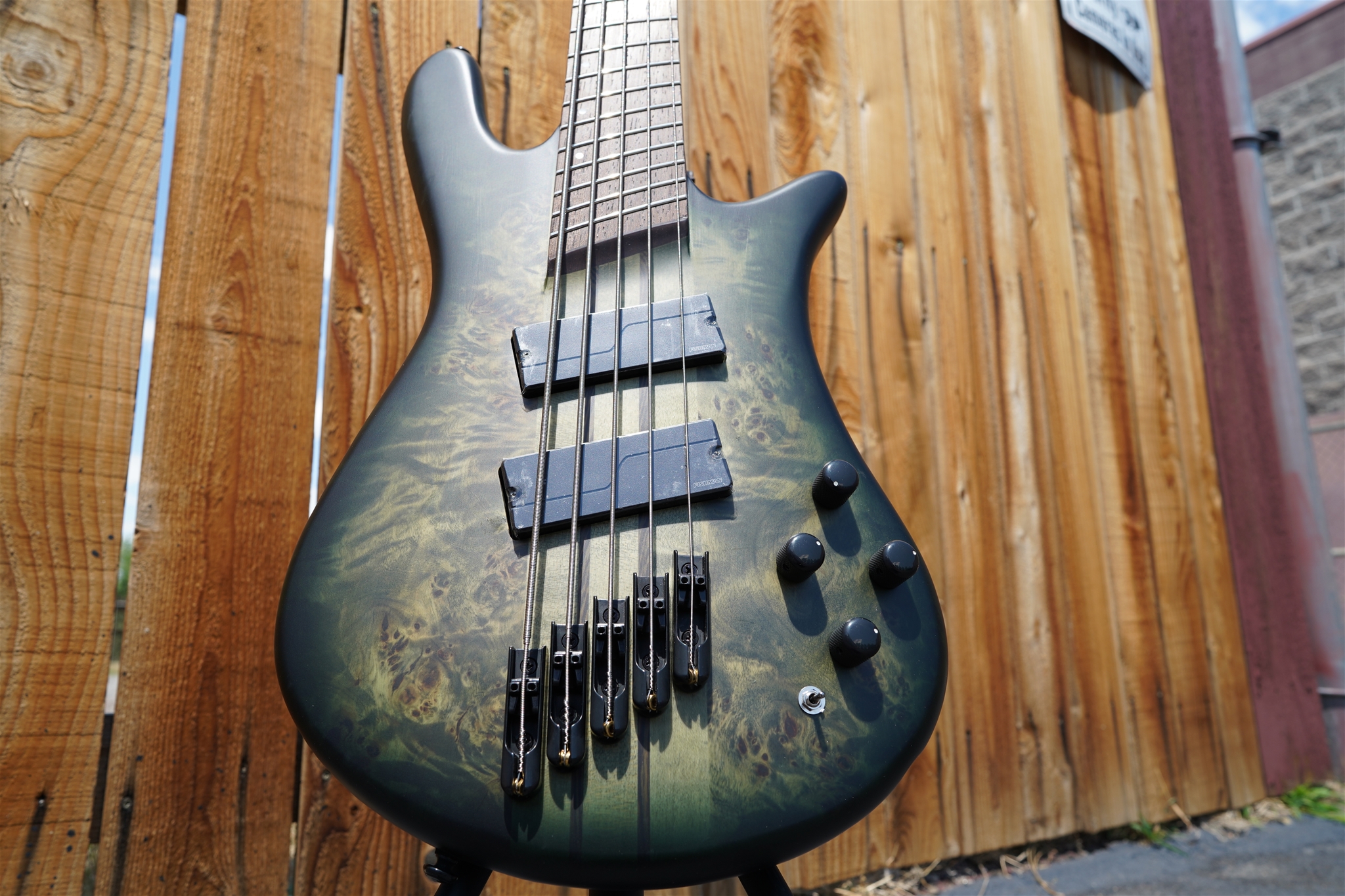 Spector NS Dimension 5 - Multi Scale -Haunted Moss Matte 5-String Bass Guitar  
