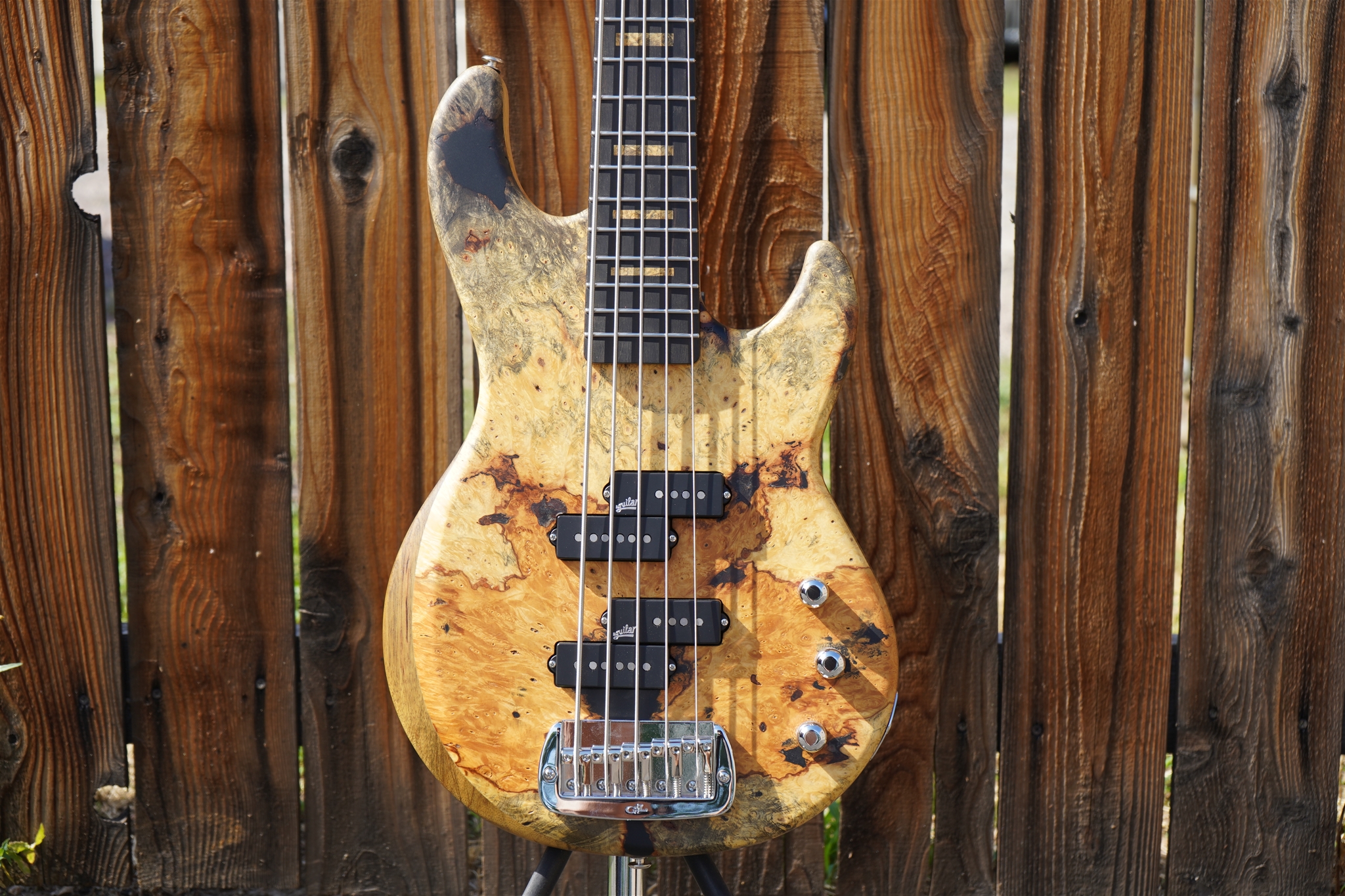 G&L USA Custom Shop Matador-V Buckeye Burl on Black Limba  5-String Electric Bass Guitar 2025