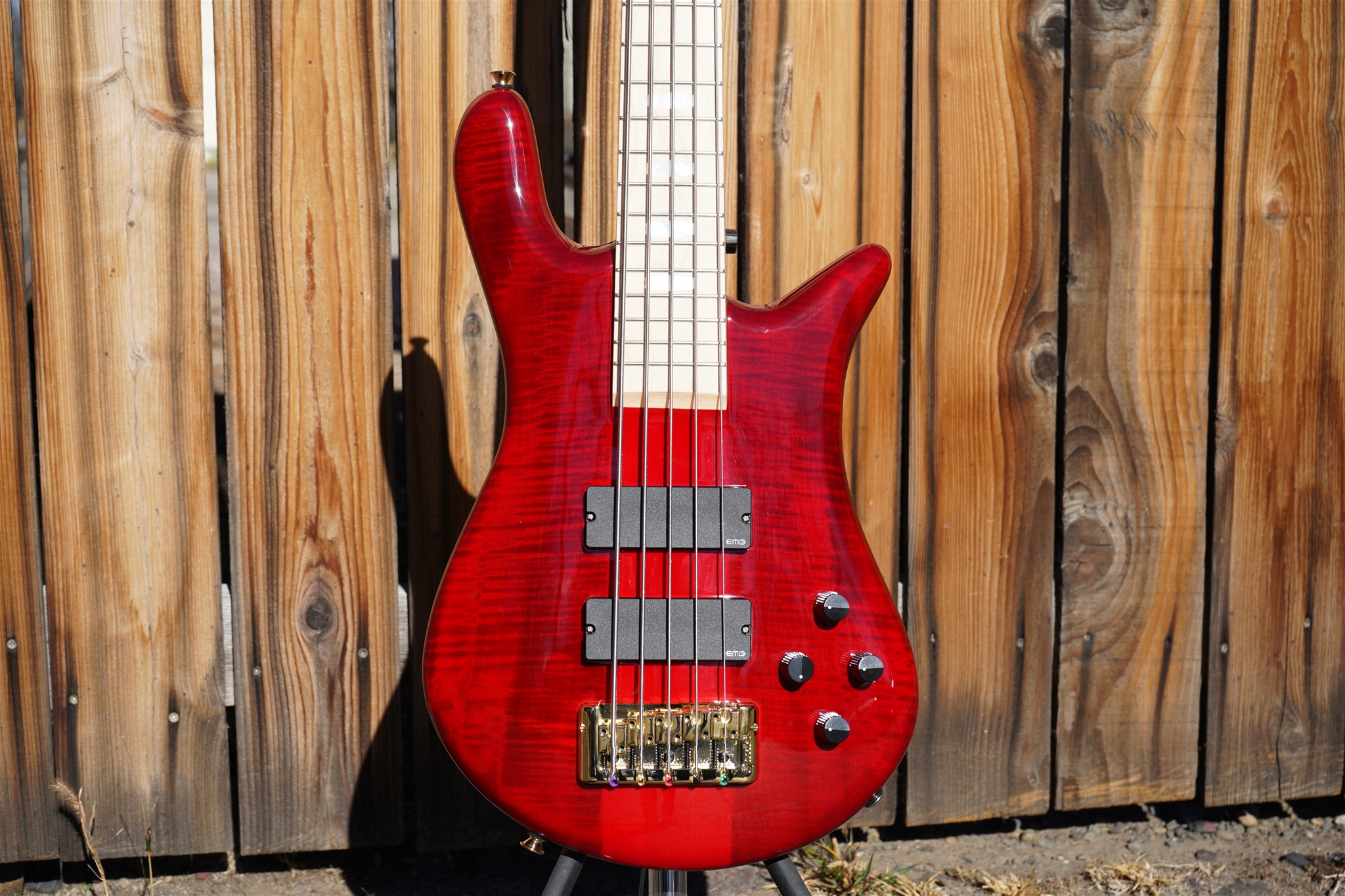 Spector Euro 5 LX Maple Fingerboard   – Black Cherry Gloss 5-String Electric Bass Guitar
