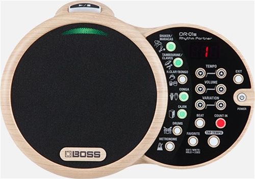 BOSS DR-01S Rhythm Partner 